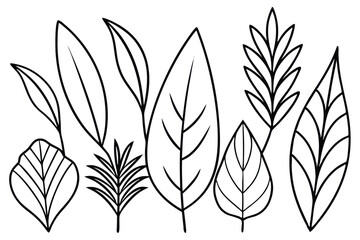 Minimalist ZZ Plant Leaves for Design