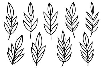 Elegant Willow Leaf Vector Collection