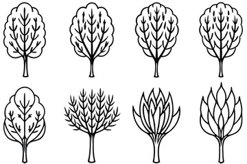 Artistic Willow Leaves for Designers