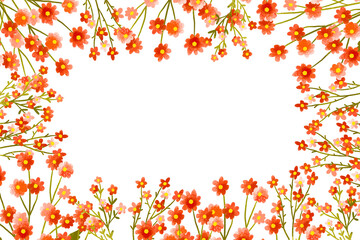 Horizontal border frame card   watercolor red field flowers set with small wildflowers. Botanical illustration. Blossom hand drawn illustration. Easter background