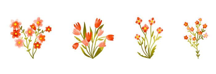 Cute watercolor red field flowers set with small wildflowers. Botanical illustration minimal style. Blossom hand drawn illustration. Easter