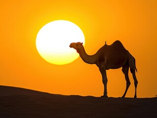 Camel with large yellow sun and desert scene