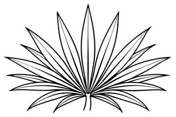 Minimal Yucca Leaves for Eco Projects