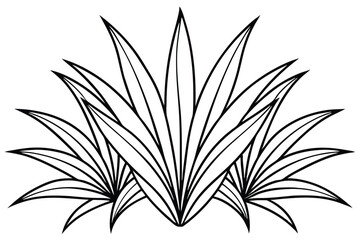 Natural Yucca Leaf Vector Collection