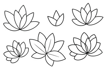 Water Lily Leaves Graphic Elements