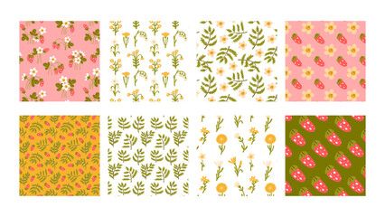 Set seamless patterns wild flowers meadow plants