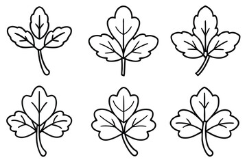 Different Types of Watercress Leaf Designs