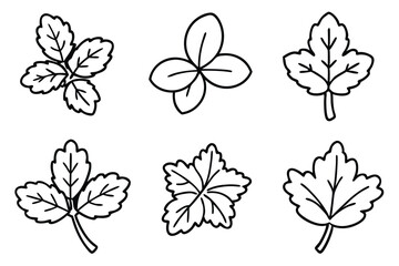 Natural Watercress Leaf Silhouettes