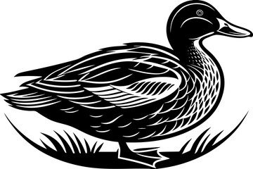 Stunning image of a wild bird in its natural habitat, showcasing the grace, color, and freedom of avian wildlife. Ideal for use in nature-themed projects, birdwatching content, environmental campaigns