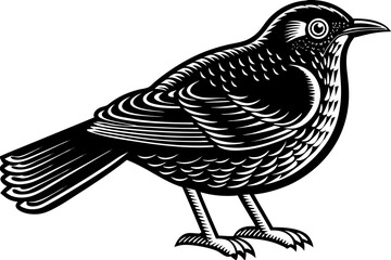 Stunning image of a wild bird in its natural habitat, showcasing the grace, color, and freedom of avian wildlife. Ideal for use in nature-themed projects, birdwatching content, environmental campaigns