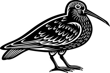 Stunning image of a wild bird in its natural habitat, showcasing the grace, color, and freedom of avian wildlife. Ideal for use in nature-themed projects, birdwatching content, environmental campaigns