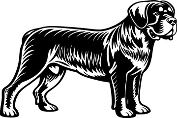 Stunning image of a wild bird in its natural habitat, showcasing the grace, color, and freedom of avian wildlife. Ideal for use in nature-themed projects, birdwatching content, environmental campaigns