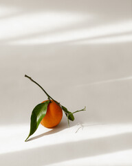 orange tangerine on stem with leaves against light streaks background