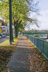 Path with a fence and trees on either side