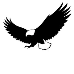 eagle vector illustration
