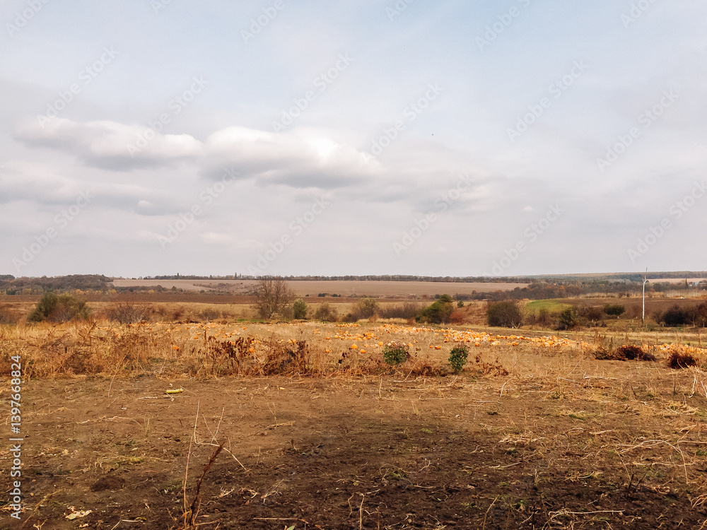 Poster field of dry grass with a few trees in the background