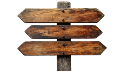 Navigational Guidance: A weathered wooden signpost stands strong, its arrows pointing the way forward, inviting the viewer to consider directions and options in a moment of decision-making.
