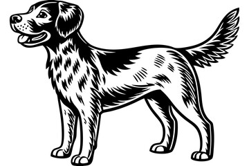 High-resolution image of a wild dog in its natural habitat, showcasing the raw energy, pack behavior, and survival instincts of this unique predator. Ideal for wildlife documentaries, educational cont