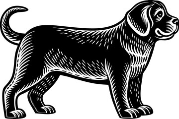 High-resolution image of a wild dog in its natural habitat, showcasing the raw energy, pack behavior, and survival instincts of this unique predator. Ideal for wildlife documentaries, educational cont