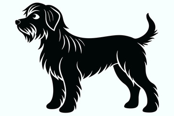 black labrador retriever