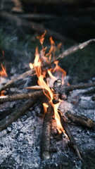 fire in the fireplace