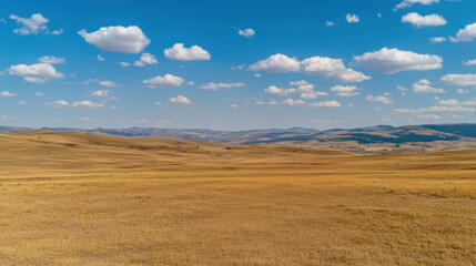 Fototapeta premium Vast open field under bright blue sky with fluffy clouds creates serene landscape