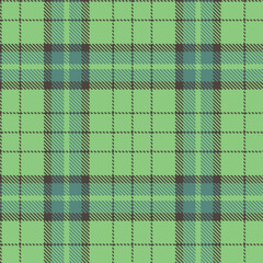 Traditional charcoal grey Tartan patterns fabric texture. Elegant Cool soft green Seamless Tartan
