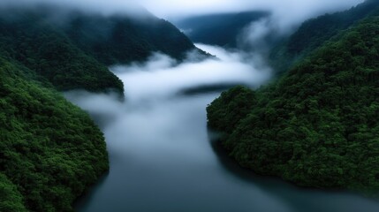 Obraz premium Misty River Valley