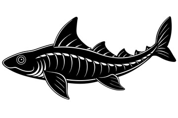Clean and scalable fish vector illustration perfect for aquatic-themed designs, seafood branding, marine education materials, and creative digital projects. Easily editable and ideal for use in logos,
