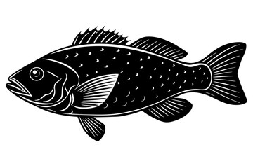 Clean and scalable fish vector illustration perfect for aquatic-themed designs, seafood branding, marine education materials, and creative digital projects. Easily editable and ideal for use in logos,