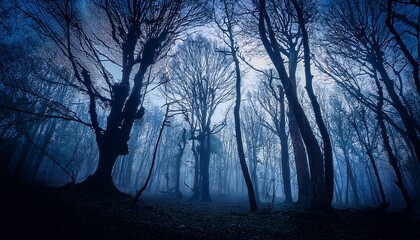 Obraz premium Trees in the dark scary woods