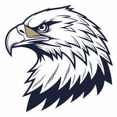 eagle head vector illustration