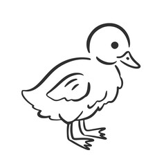 Cute Whimsical Duck Farm Bird Hand Drawn Sketch