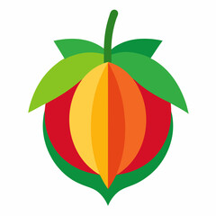 vector illustration of an orange fruit