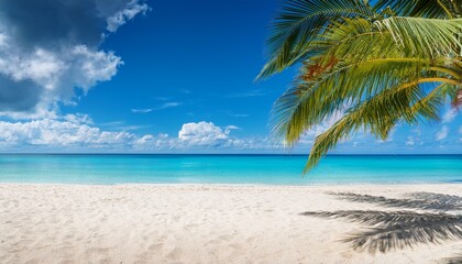 Beautiful beach with white sand turquoise ocean blue sky with clouds and palm tree over the water on a sunny day