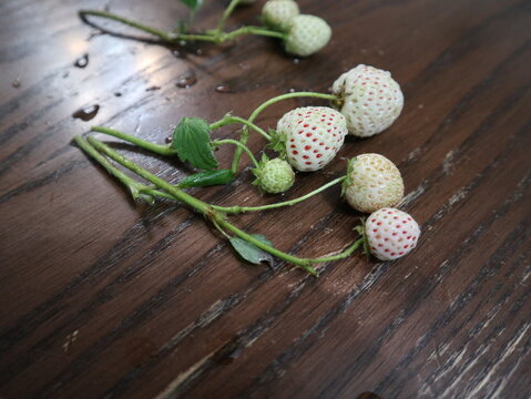 white strawberries on the wooden table design for tasty concept