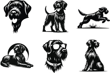 German Wirehaired Pointer Pet Illustration, Perfect for Dog-Themed Projects.