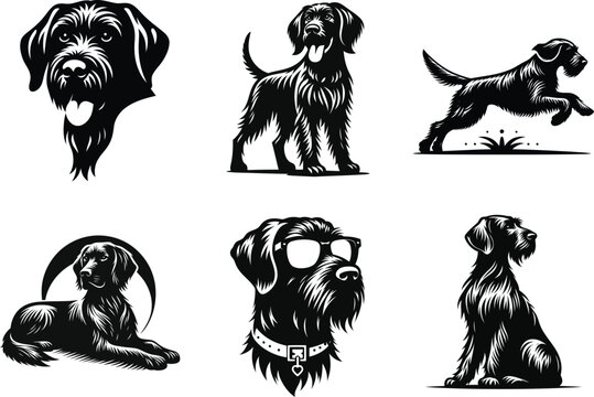 German Wirehaired Pointer Pet Illustration, Perfect for Dog-Themed Projects.