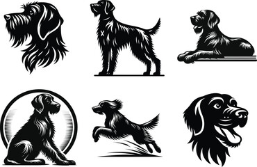 Modern German Wirehaired Pointer Silhouette, Dog Breed Vector Clipart