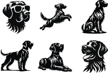 German Wirehaired Pointer Dog Digital Print, Ideal for Framing or Gifting