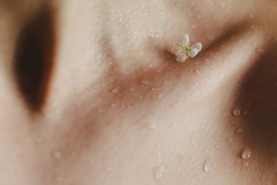 Close up cherry blossom flower on a wet female skin with water drops. Concept for purity, freshness and clean skin.