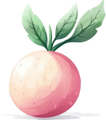 vector illustration of an apple with leaves