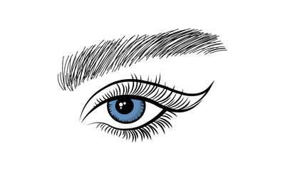 Fototapeta premium eye of the woman