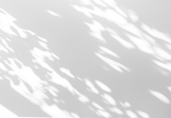 shadow overlay effects of realistic window and tree branch shadow with light blur on transparent background,Summer sunlight and shadow overlay effect