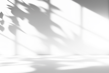 shadow overlay effects of realistic window and tree branch shadow with light blur on transparent background,Summer sunlight and shadow overlay effect