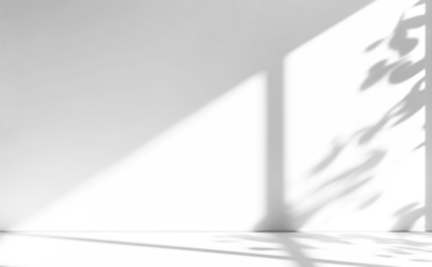 shadow overlay effects of realistic window and tree branch shadow with light blur on transparent background,Summer sunlight and shadow overlay effect