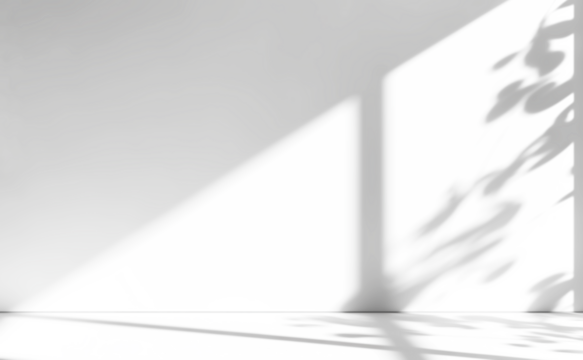 shadow overlay effects of realistic window and tree branch shadow with light blur on transparent background,Summer sunlight and shadow overlay effect