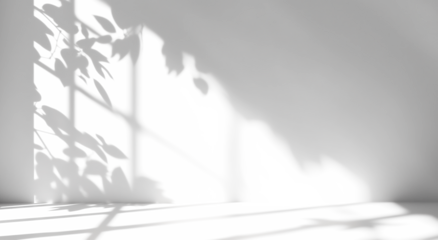 shadow overlay effects of realistic window and tree branch shadow with light blur on transparent background,Summer sunlight and shadow overlay effect