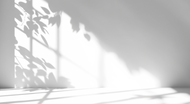 shadow overlay effects of realistic window and tree branch shadow with light blur on transparent background,Summer sunlight and shadow overlay effect