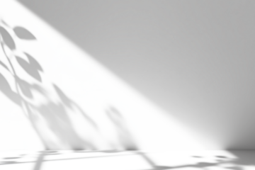 shadow overlay effects of realistic window and tree branch shadow with light blur on transparent background,Summer sunlight and shadow overlay effect